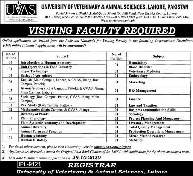 UVAS Lahore Faculty Jobs 2020 
