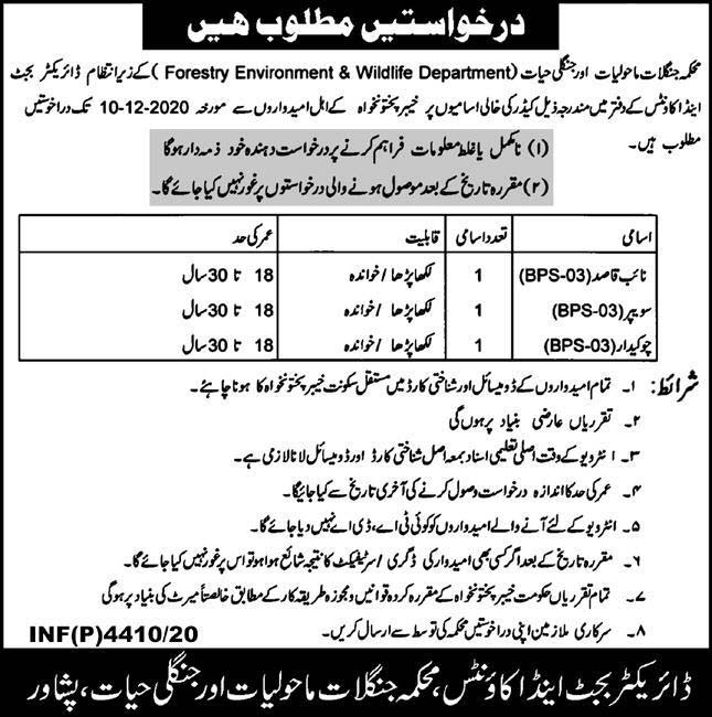 Forestry Environment & Wildlife Department Jobs 2020